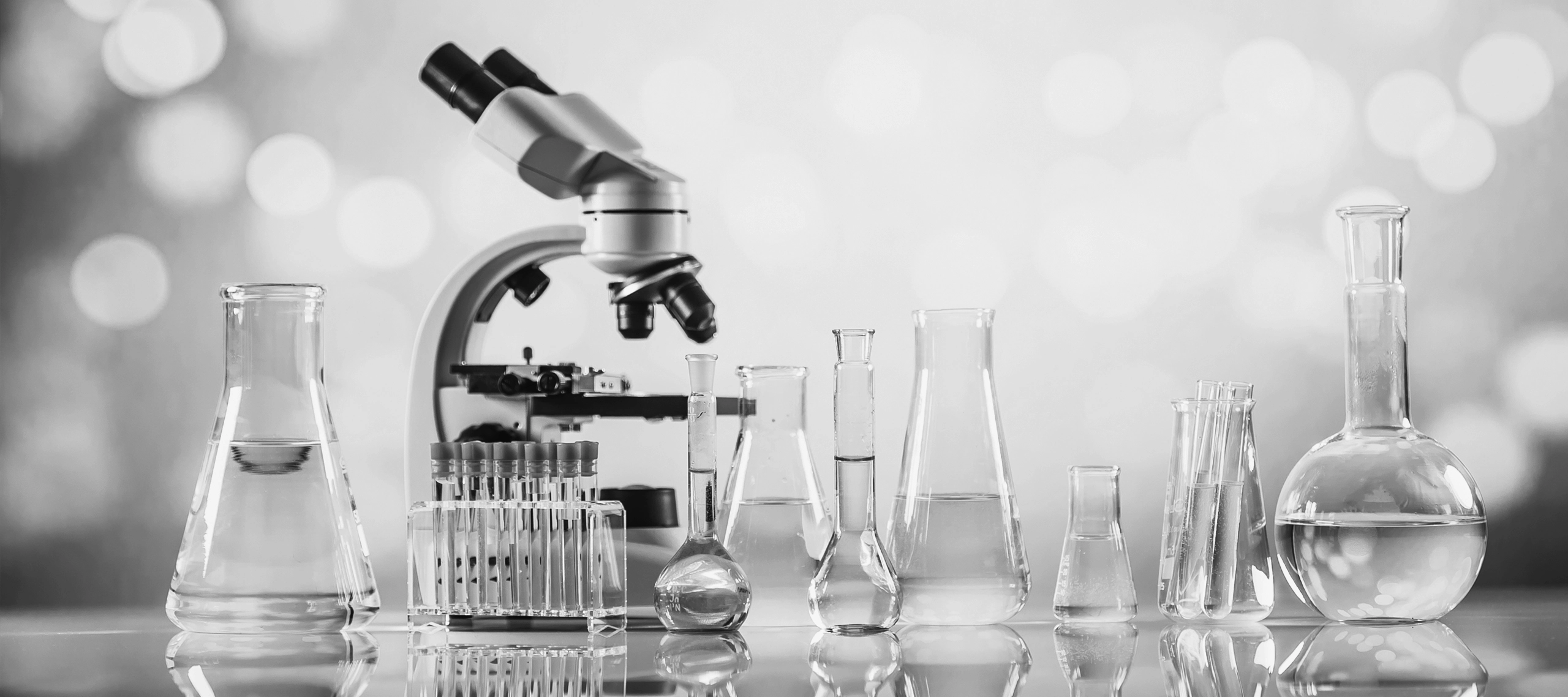 Zdjęcie nagłówkowe